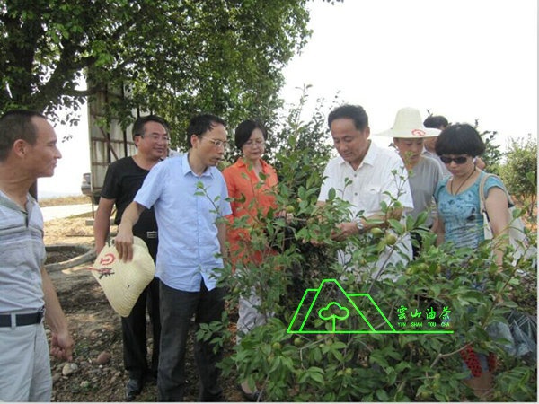 江西省油茶辦主任、工程師孫勇、省科技廳農(nóng)村工作處副處長、副調(diào)研員尹伊等基地指導(dǎo)工作